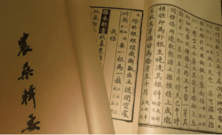 《农桑辑要》：古代农业技术中的耕地智慧