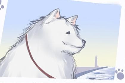 五行缺金适合什么颜色的衣服？