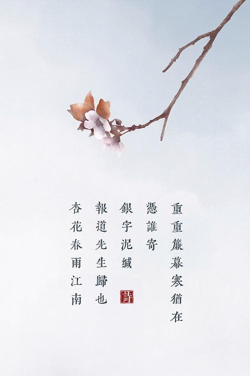 杏花可以用哪些词来形容？杏花：洁白、娇艳、淡雅，如何用词语描绘春日杏花之美!