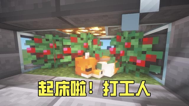 《我的世界》5种实用自动化农场设计，总有一款适合你