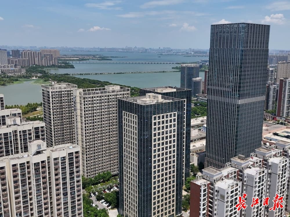 多家头部企业投资加码，江夏经济开发区产业升级效应初显