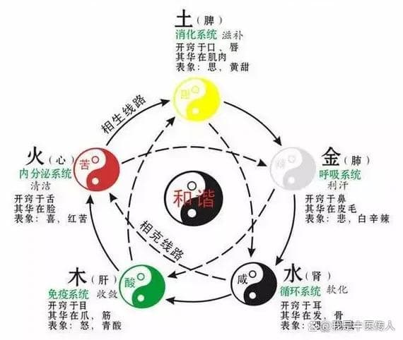 中医如何运用“五行学说”防治疾病