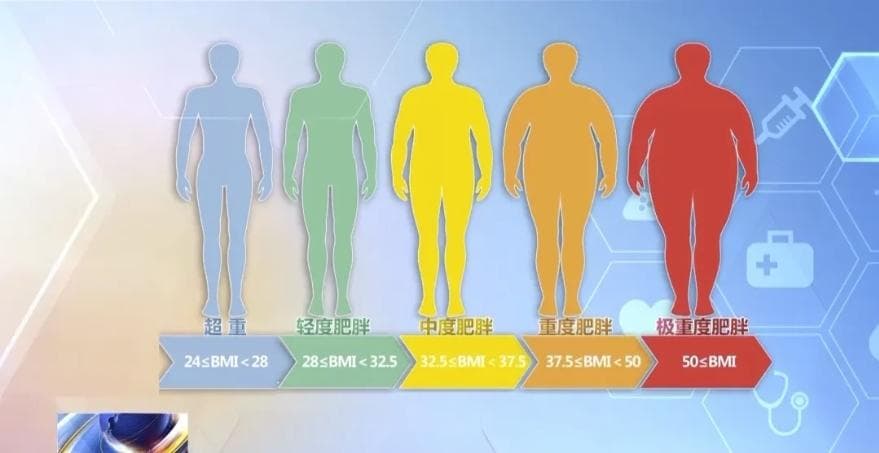 国家版减肥指南来了！权威食谱，细化到地区，全是干货→