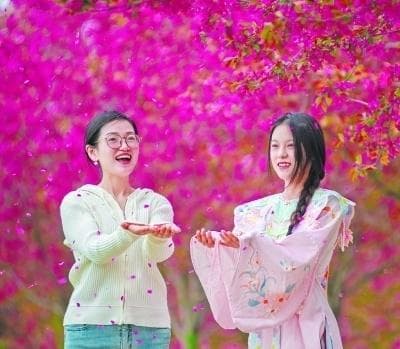 大好春光绘就“颜值文旅”