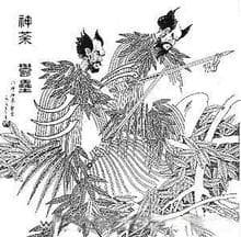 神荼郁垒：中国传统文化中的门神传奇