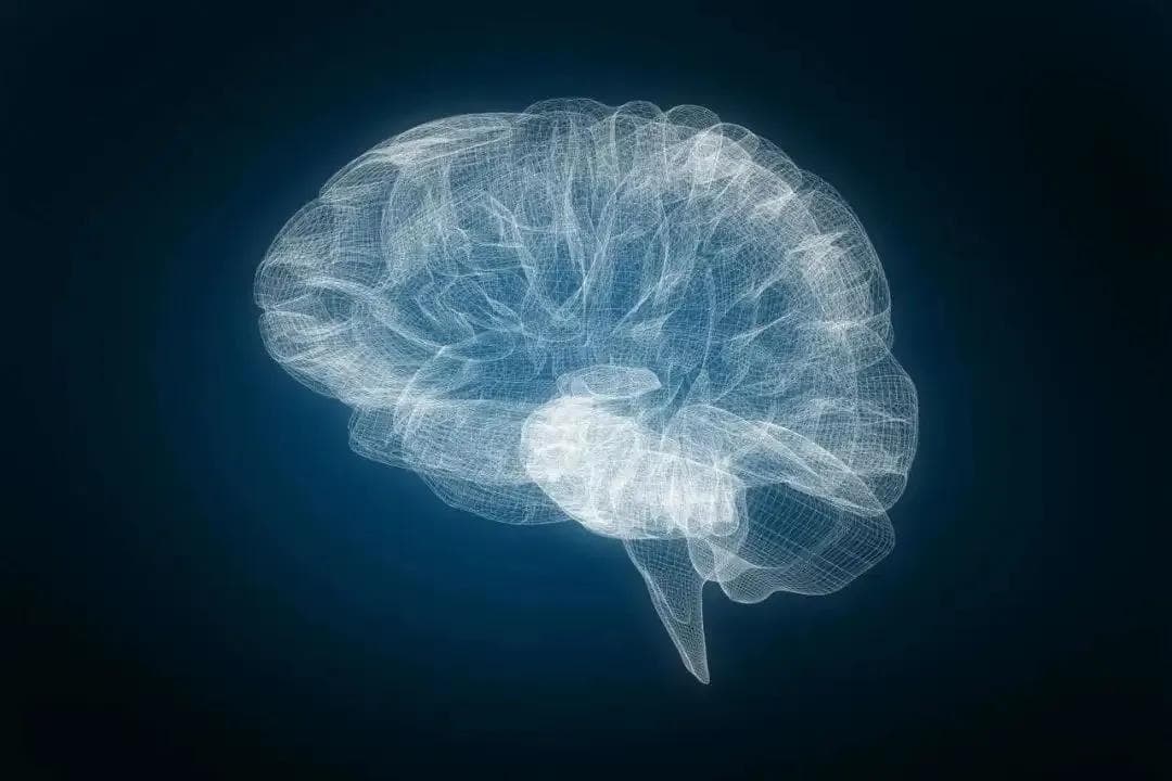 研究人员发现三种主要失智症共有的细胞机制