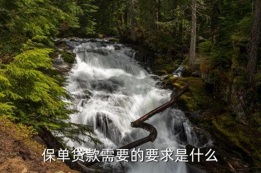 保单贷款条件全解析：从个人要求到办理流程