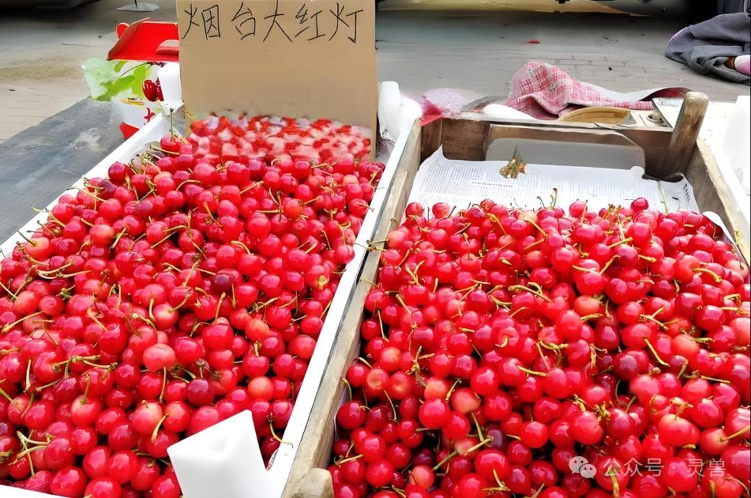 贵价水果价格“腰斩”背后