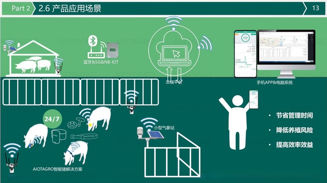 AI在养猪行业的应用：AI养猪技术与传统养猪方法的优劣