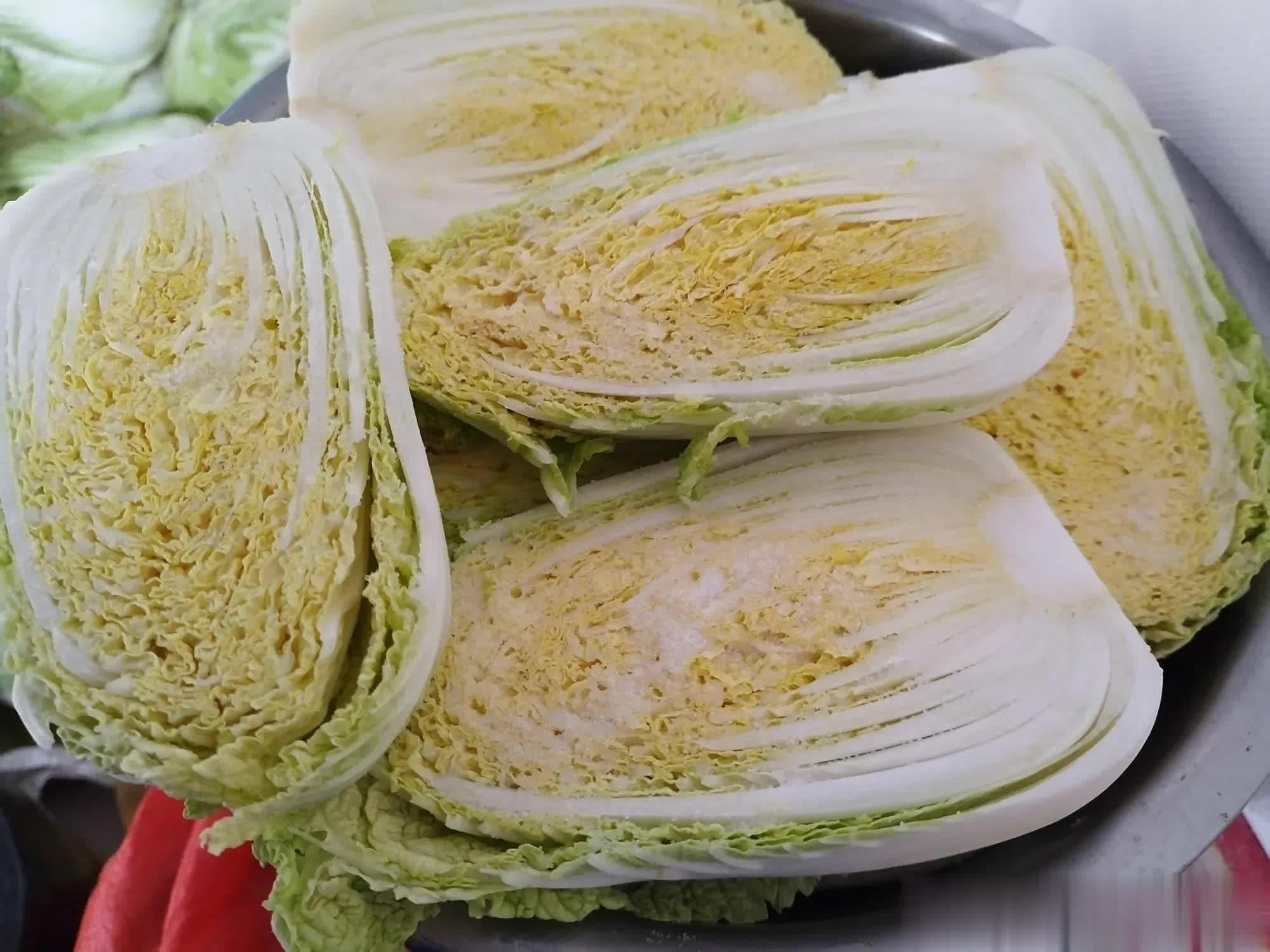 冬季限定！独家分享酸爽过瘾的腌酸菜秘方