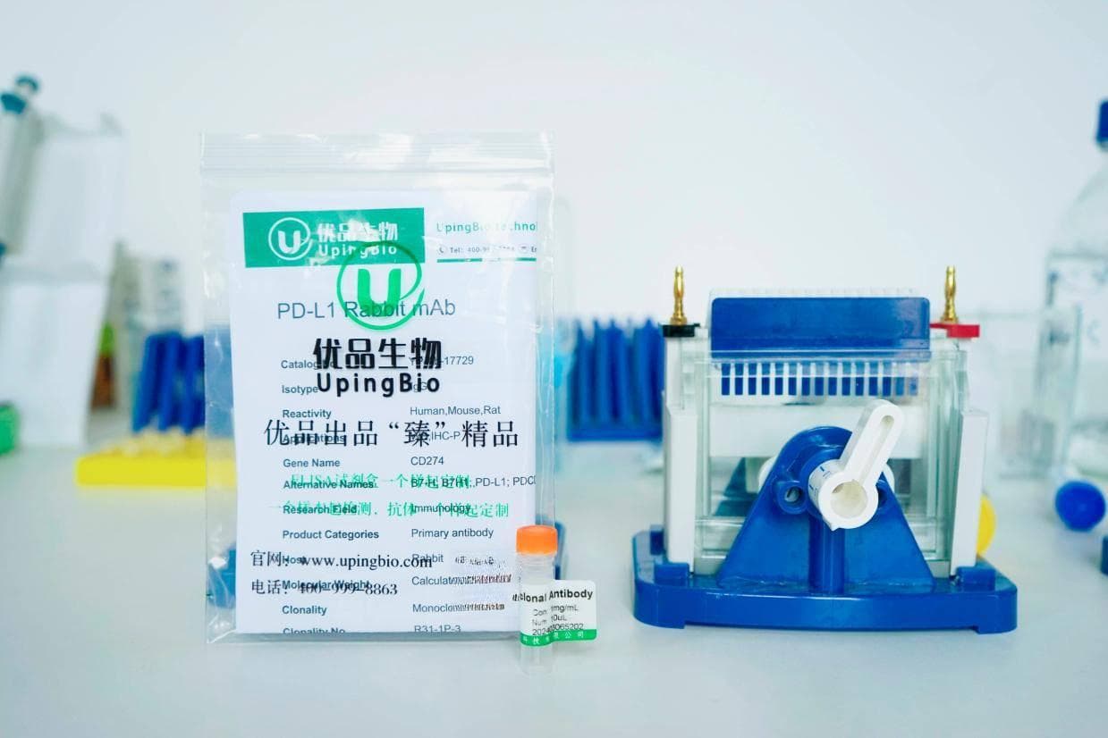 10ul抗体如何分装保存