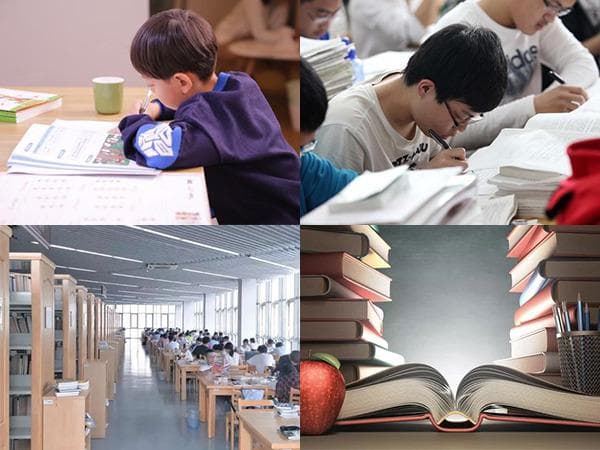 河南省2025单招录取分数线