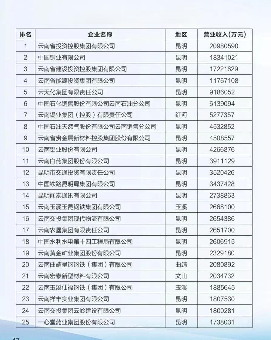 2024云南100强企业名单出炉！