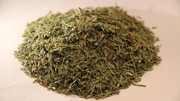 侧柏叶治疗白发的使用方法