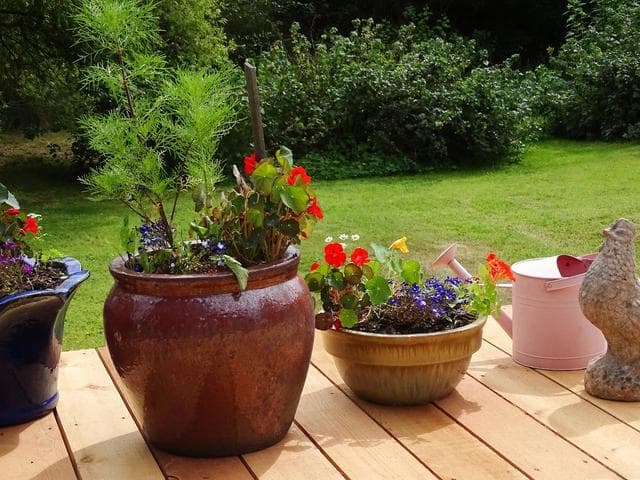 DIY植物容器：从材料到养护的专业指南