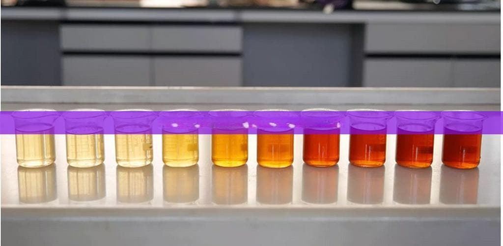 杜仲嫩芽的功效与作用：主治、用量及食用方法