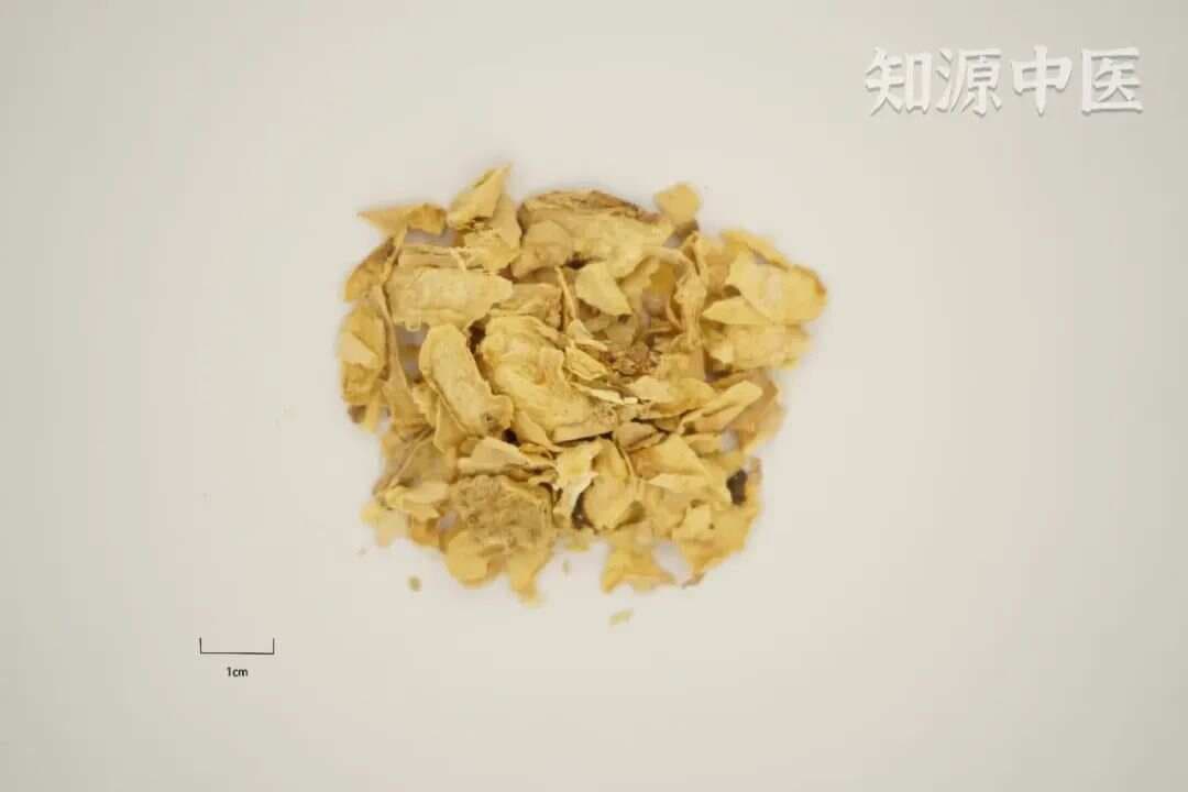 甘草泻心汤：调理脾胃，清热解毒