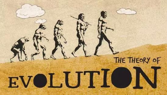 人类到底是如何诞生的？有没有可能人类本身就是外星人？