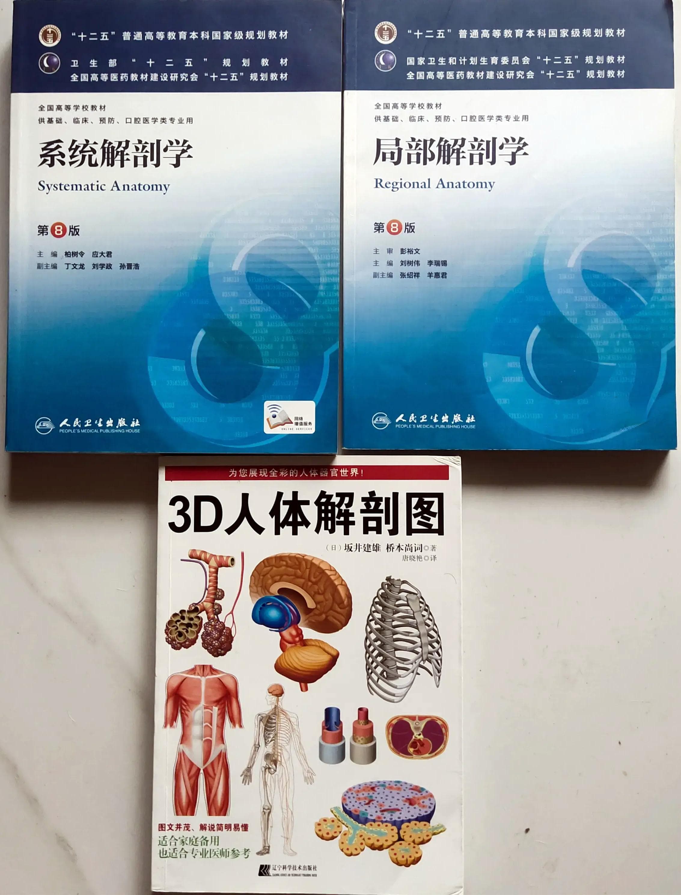 金栋：“经脉”与“气脉”小识
