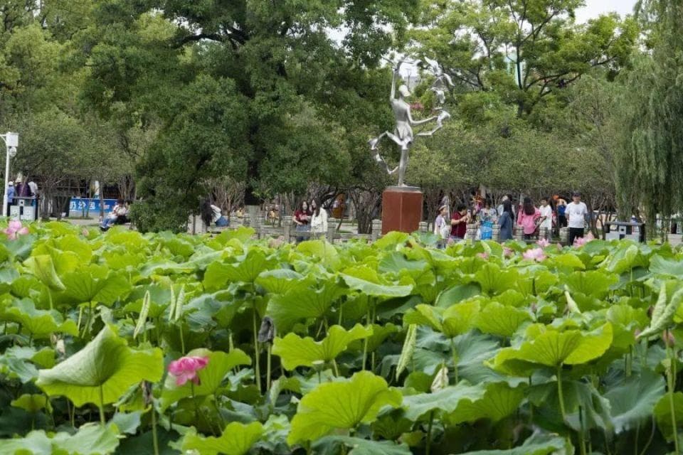 昆明：春城的魅力，你真的了解吗？