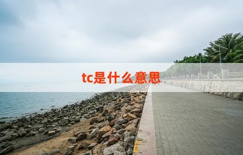 TC是什么意思？全面解析TC的含义与用途