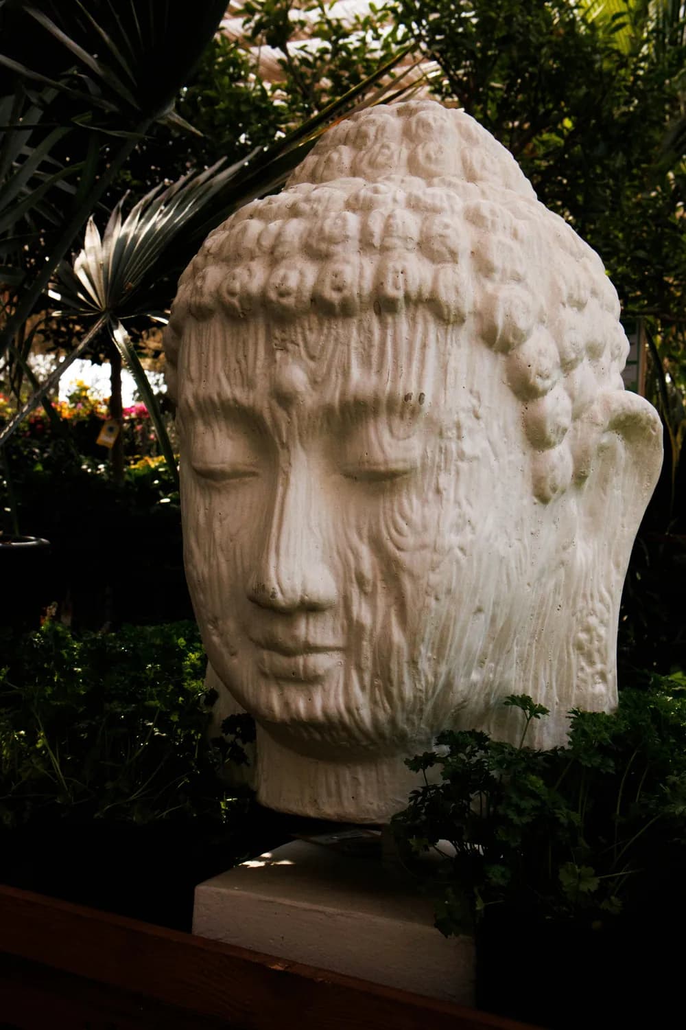 杭州植物园：绝美仙境打卡地！