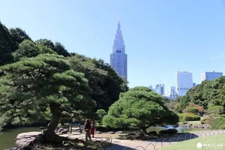 羽田机场前往东京市区交通指南：新宿、东京车站、涩谷、浅草、上野