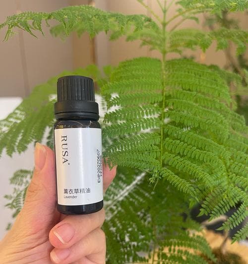 天然植物精油有哪些优点？使用时应注意什么？