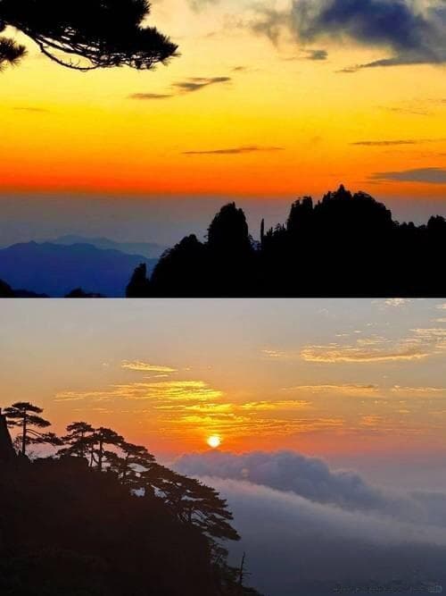 独家盘点：十大鸭屎香茶叶品牌，你Pick谁？