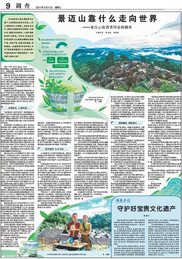 景迈山靠什么走向世界？《经济日报》再探云南普洱景迈山的魅力