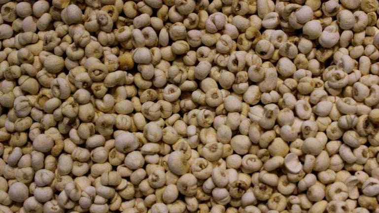 贝母的功效与作用、禁忌和食用方法