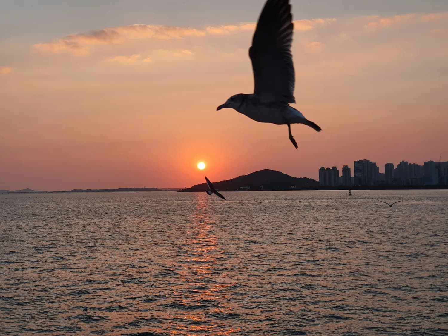 深圳最美拍照打卡地推荐：深圳湾、大沙河、华侨城湿地公园