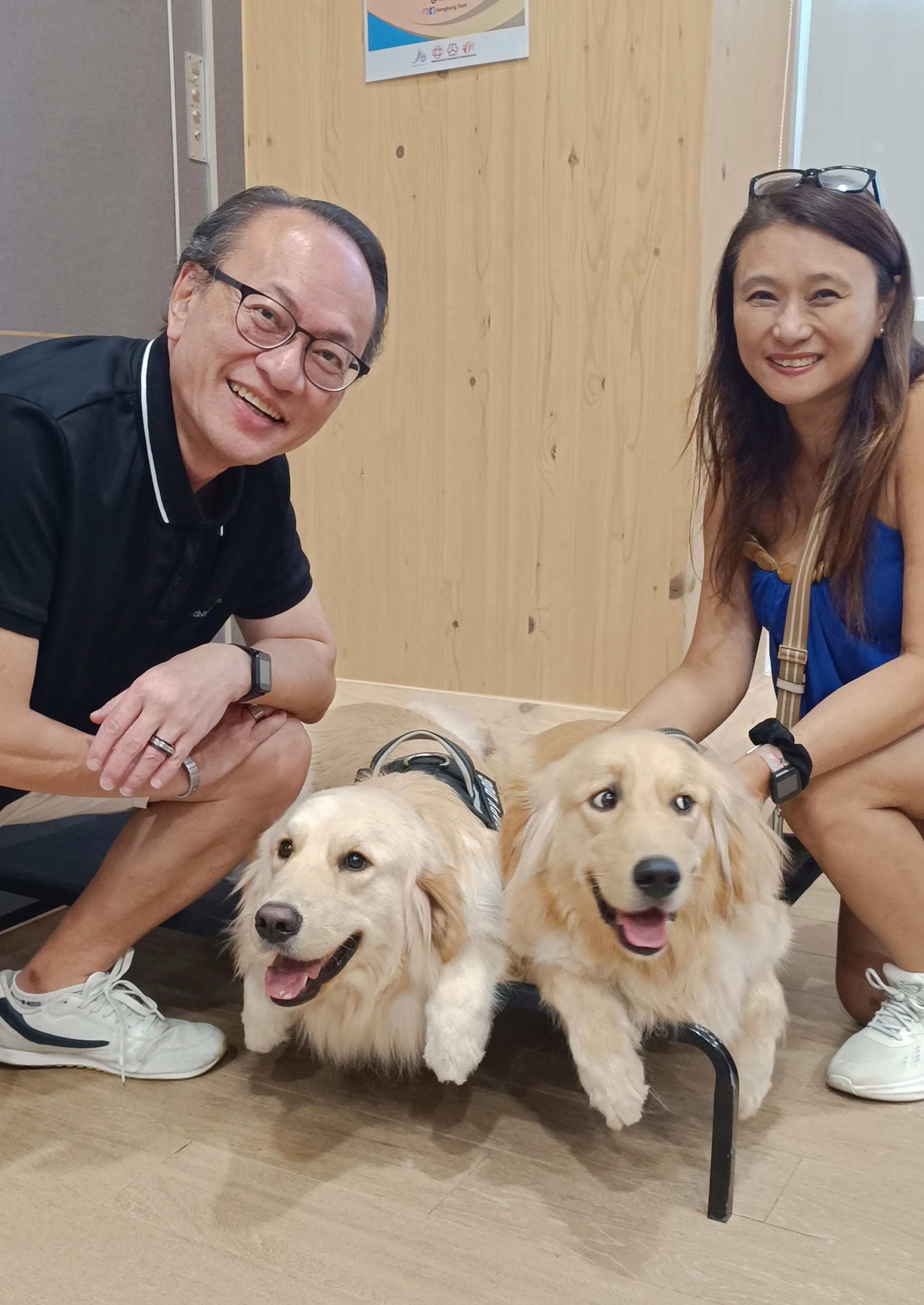 动物辅助干预 为人类尽犬马之效