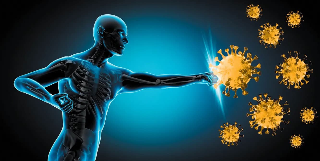 增强免疫系统的科学策略：从营养到生活方式