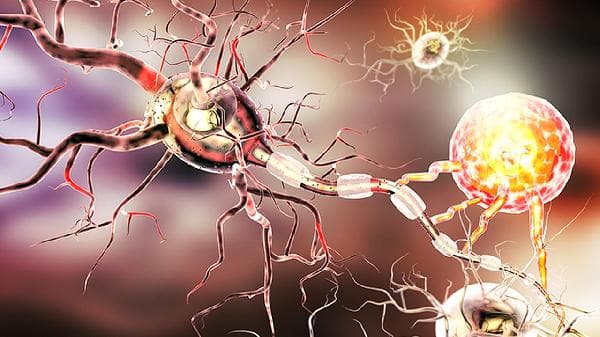 中枢神经系统感染：病因、治疗与预防全解析