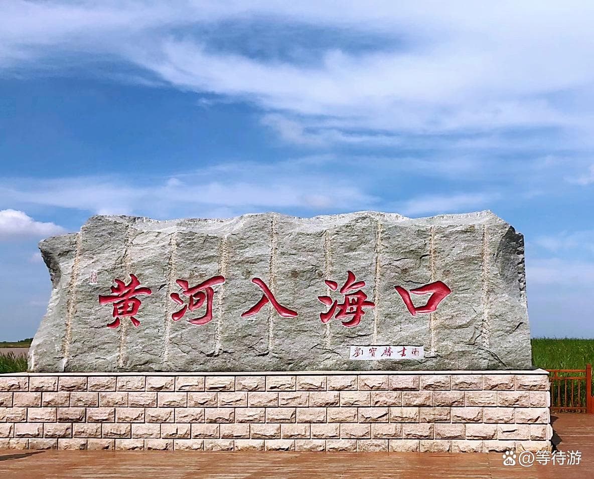 山东东营旅游景点大全｜黄河入海口、湿地奇观，解锁小众宝藏地！