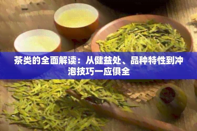 茶类的全面解读：从健益处、品种特性到冲泡技巧一应俱全