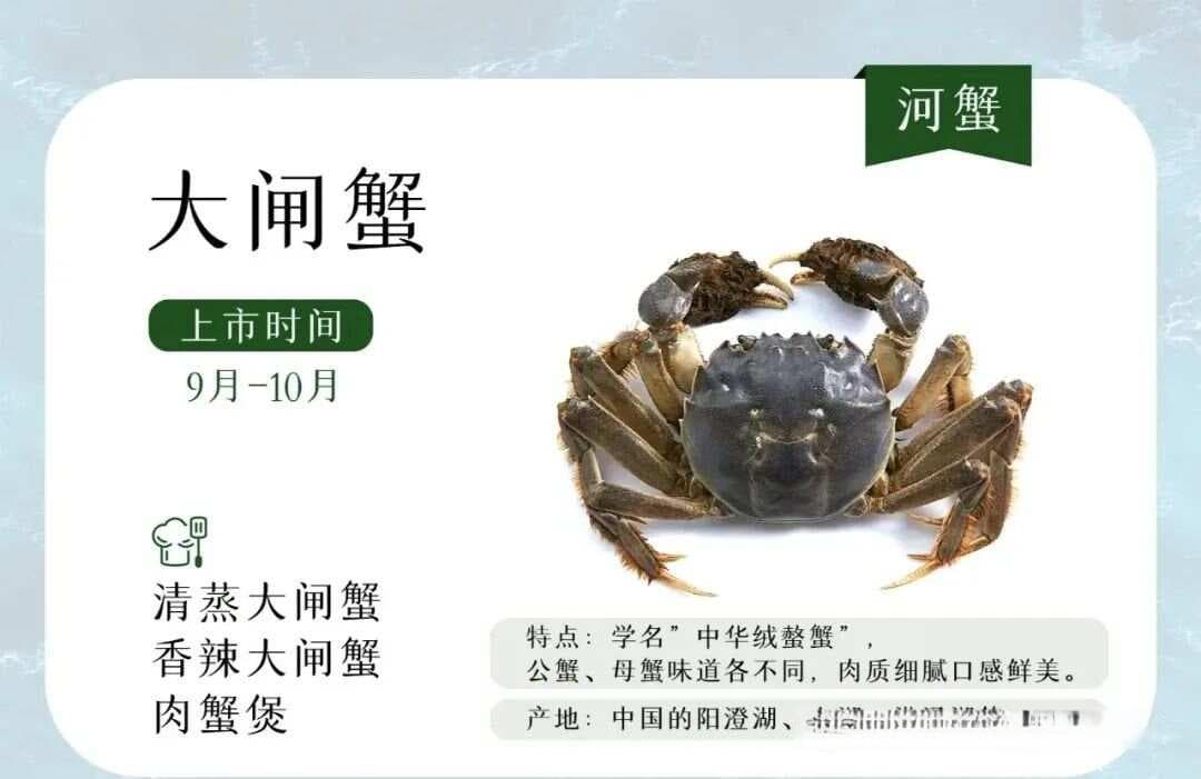 一文认识十七种螃蟹（含上市时间和推荐食用方法）