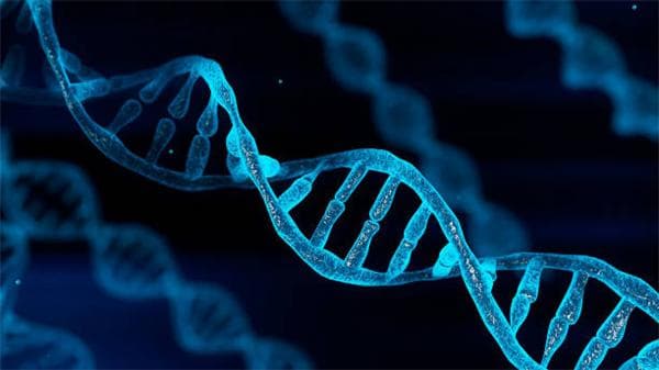 中国工程院院士：吃不饱穿不暖能启动长寿基因