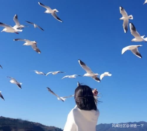 到底是“致哀”还是“志哀”？