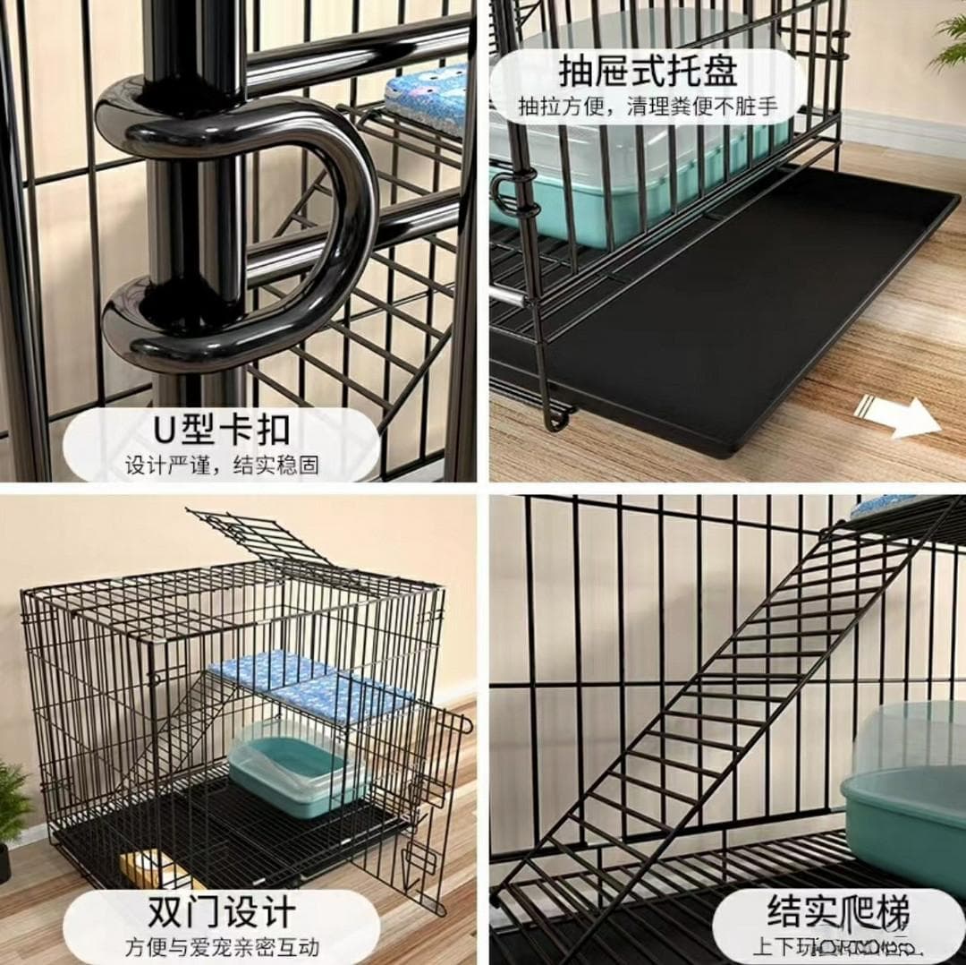 当我们看到流浪猫时：救助小动物的行动指南