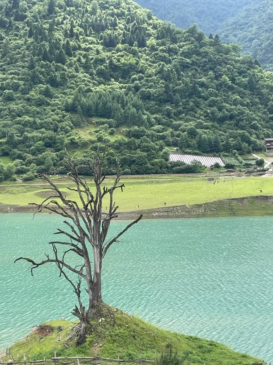 白马王朗风景景区游玩攻略：门票、交通、住宿全解析