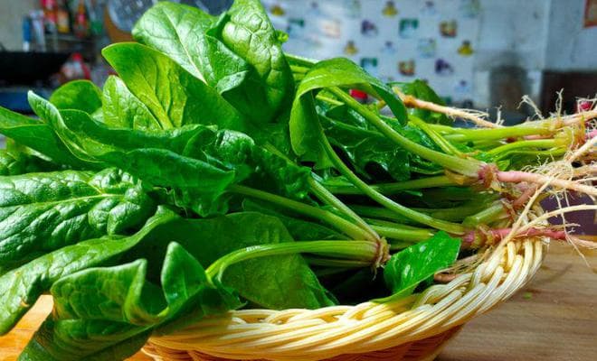 春季养肝好时节，这4种养肝菜让你排毒养颜又明目！