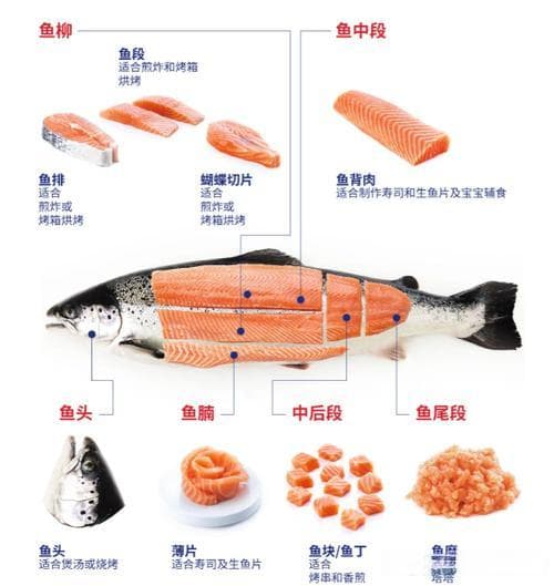 中国适合养殖三文鱼的海域
