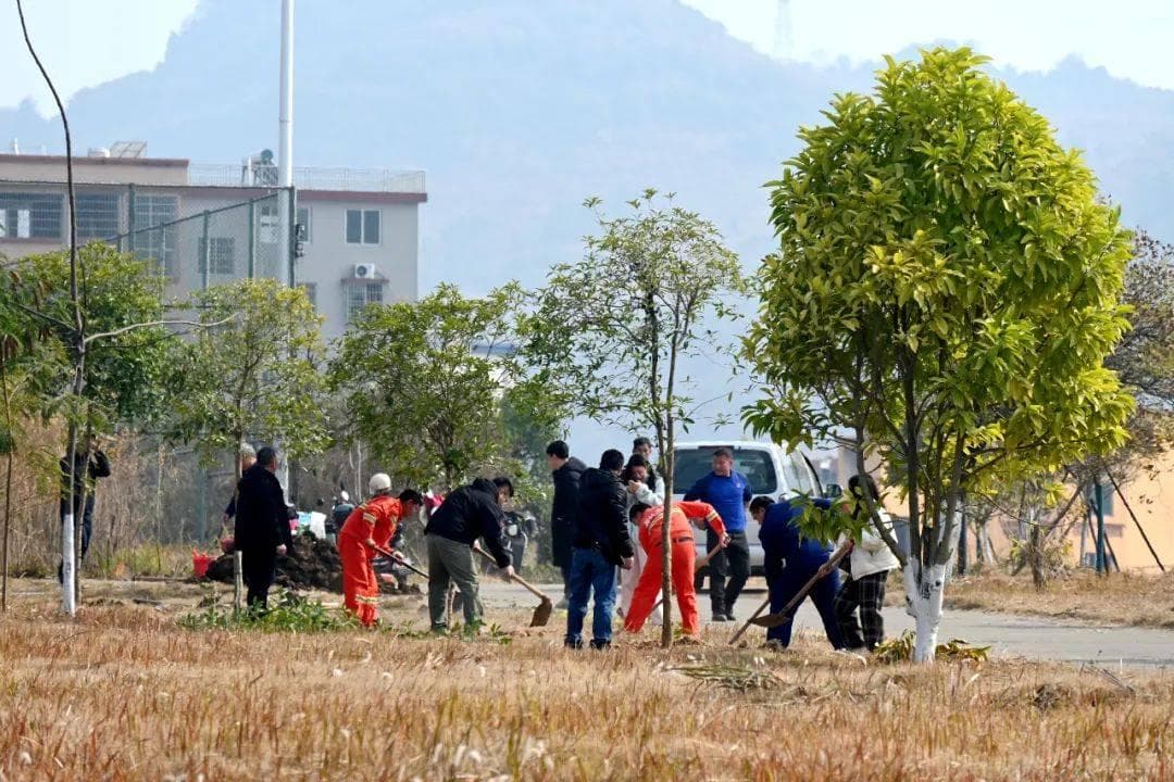 赋能乡村绿化“加速跑”，连州这场培训干货多