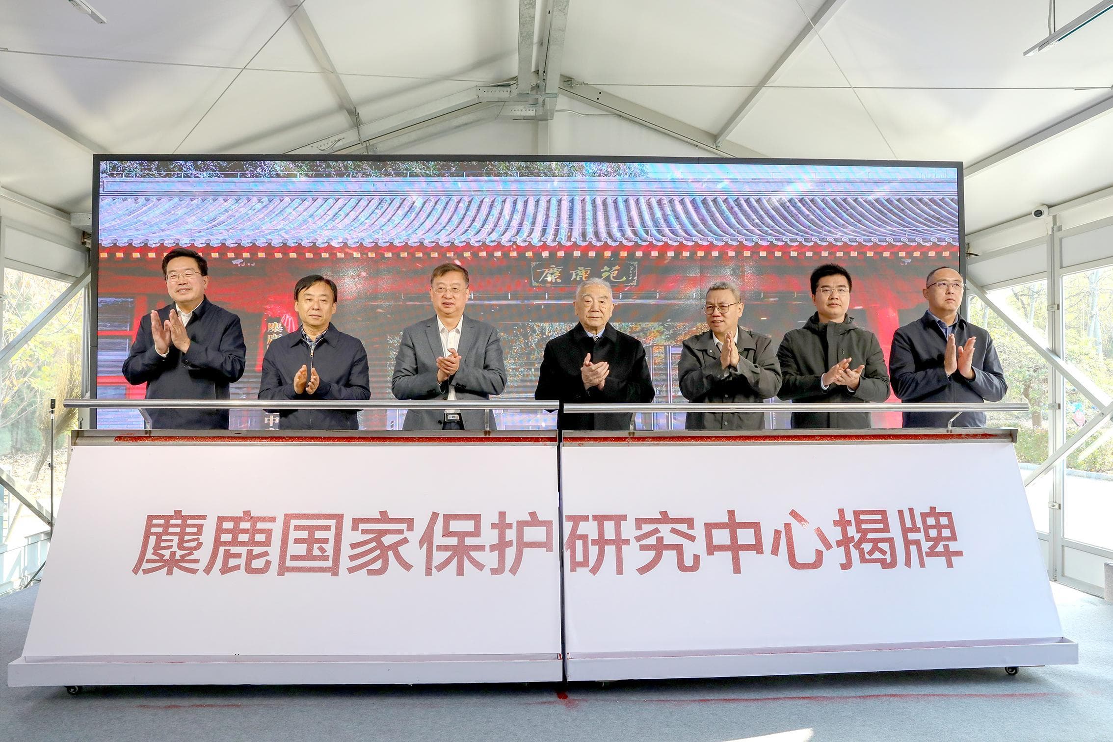 我国麋鹿保护“三步走”成果斐然