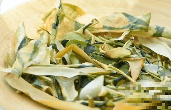 夏季时令水果图鉴