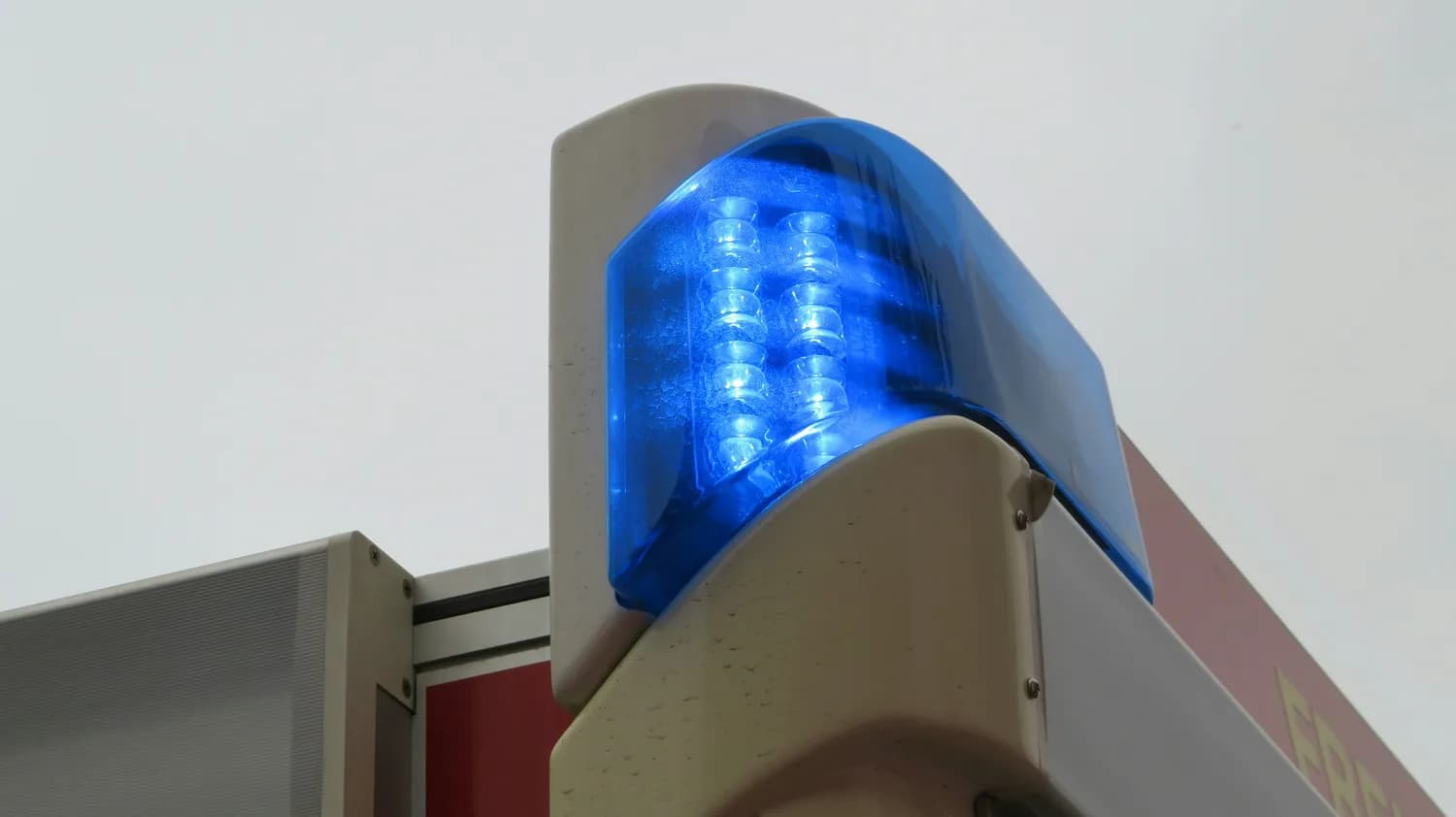 沪牌拍卖市场：蓝牌绿牌大对决