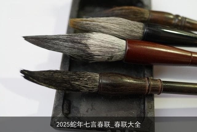 2025蛇年七言春联_春联大全