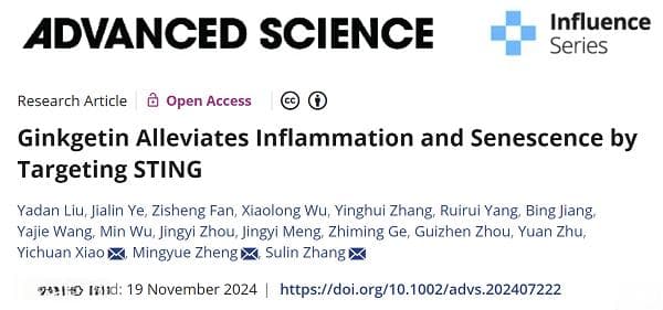 上海药物所合作揭示银杏素通过靶向STING缓解衰老的分子机制